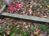 image of grave number 53777